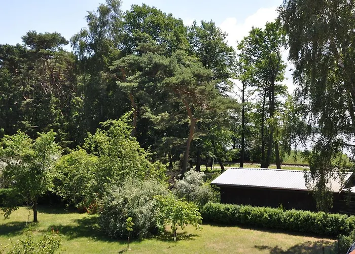 Pod Brzozami * Niechorze