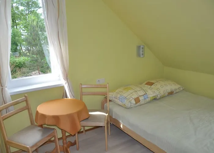 Pod Brzozami Homestay *